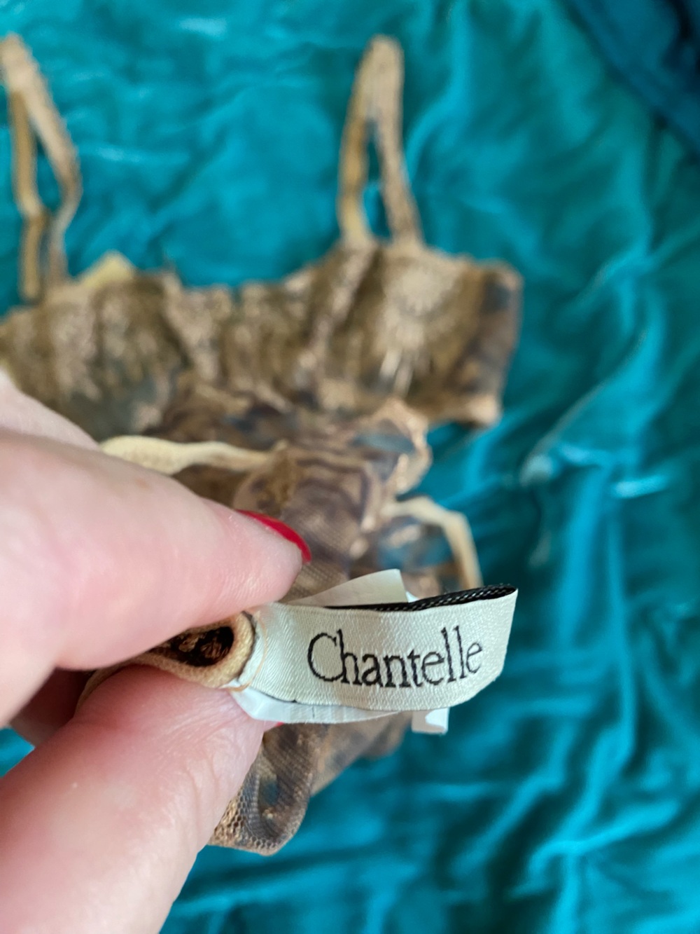 Chantelle Sheer Embroidered Bra & Brief Set in Gold - Picture 5 of 15